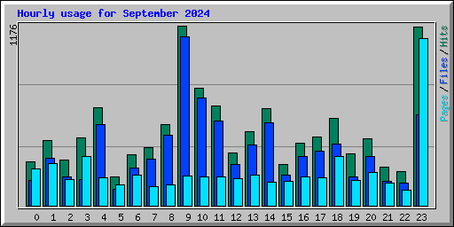 Hourly usage for September 2024