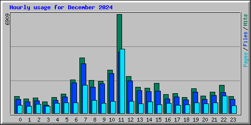Hourly usage for December 2024