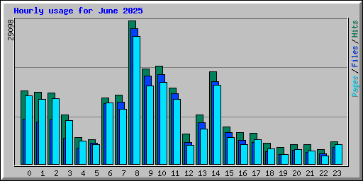 Hourly usage for June 2025